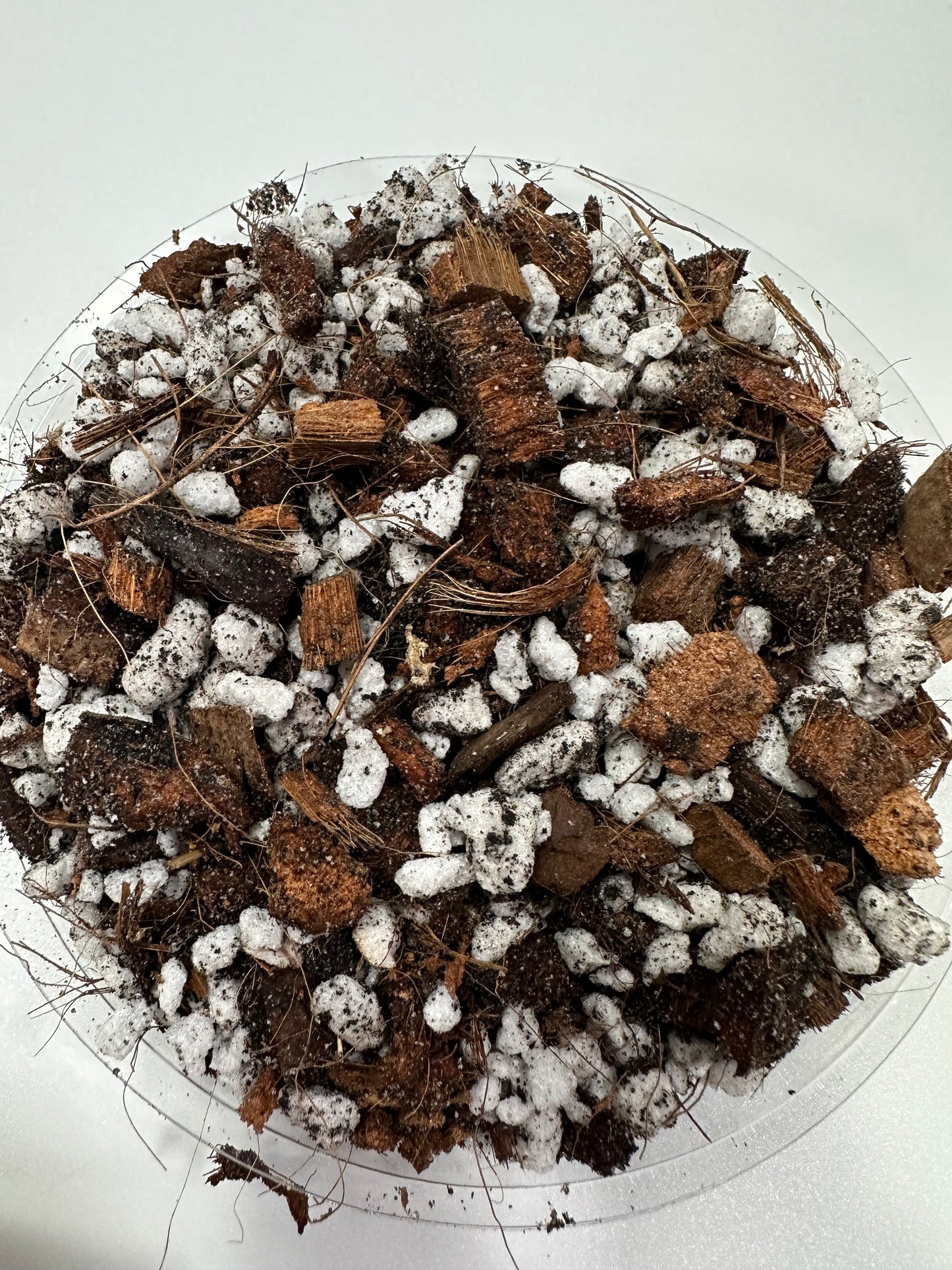 "Reindeer Poop" Chunky Aroid Potting Mix